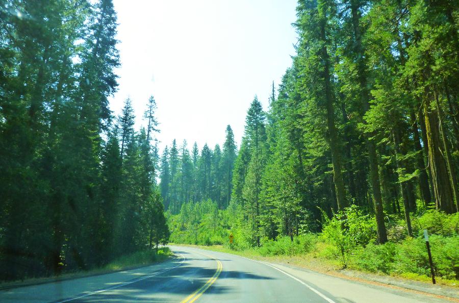 tioga rd en Yosemite 