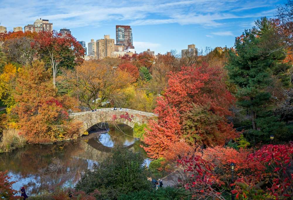 cosas que ver en central park