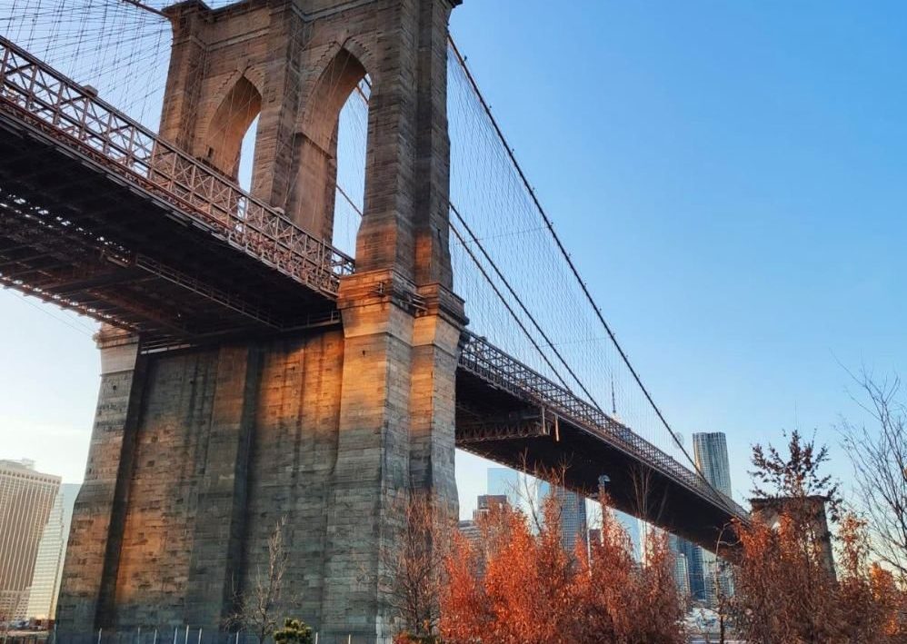 dumbo en nueva york