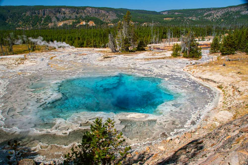 Visitar norris geiser basin 